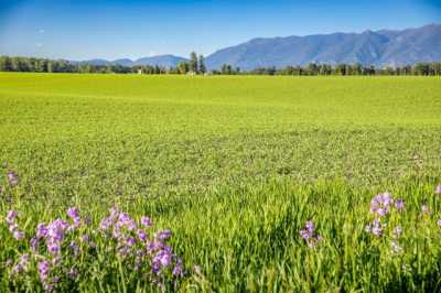 Residential Land For Sale in Kalispell, Montana