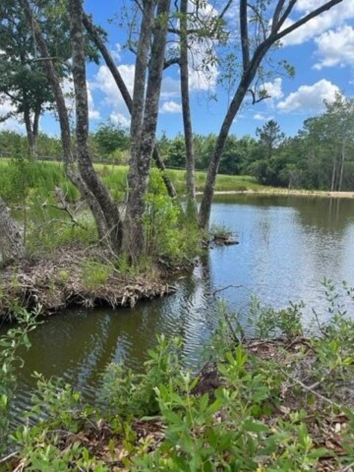 Picture of Residential Land For Sale in Defuniak Springs, Florida, United States