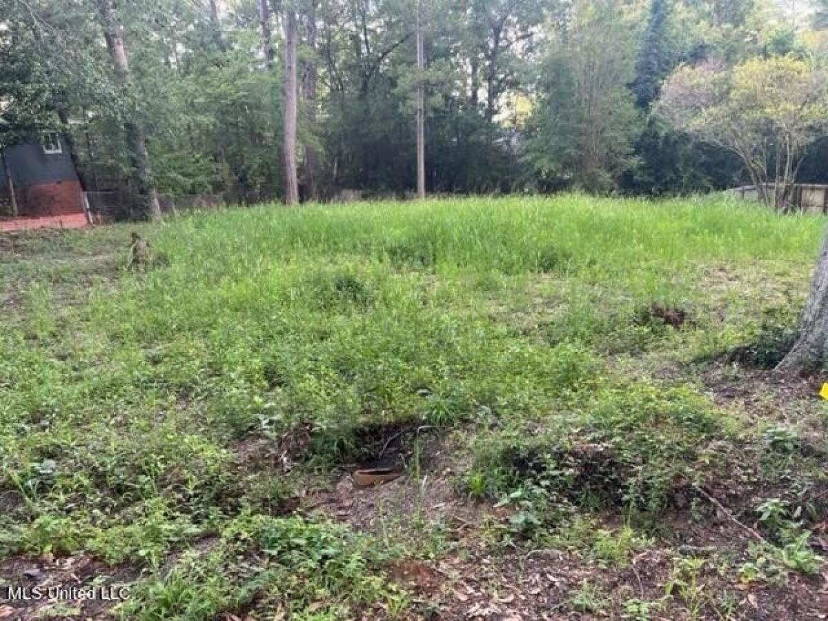 Picture of Residential Land For Sale in Jackson, Mississippi, United States