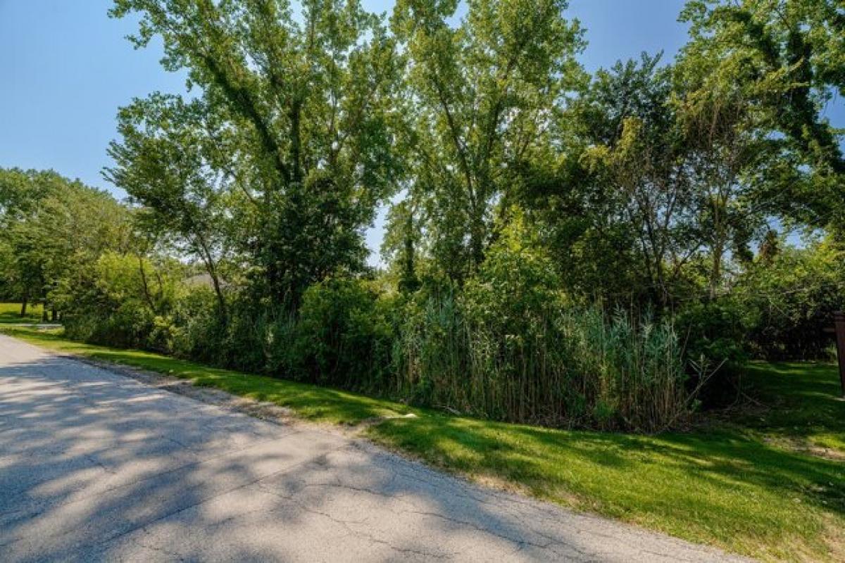 Picture of Residential Land For Sale in Crete, Illinois, United States