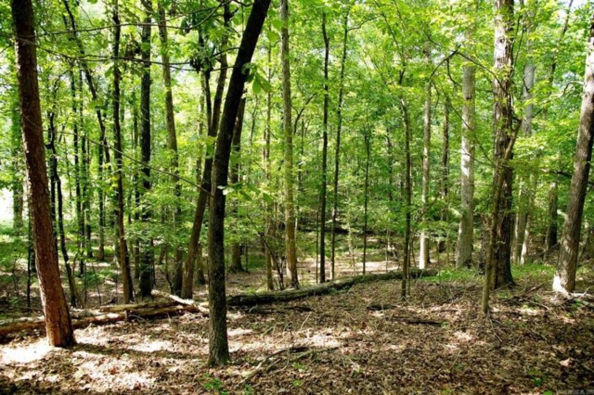 Picture of Residential Land For Sale in Paragould, Arkansas, United States