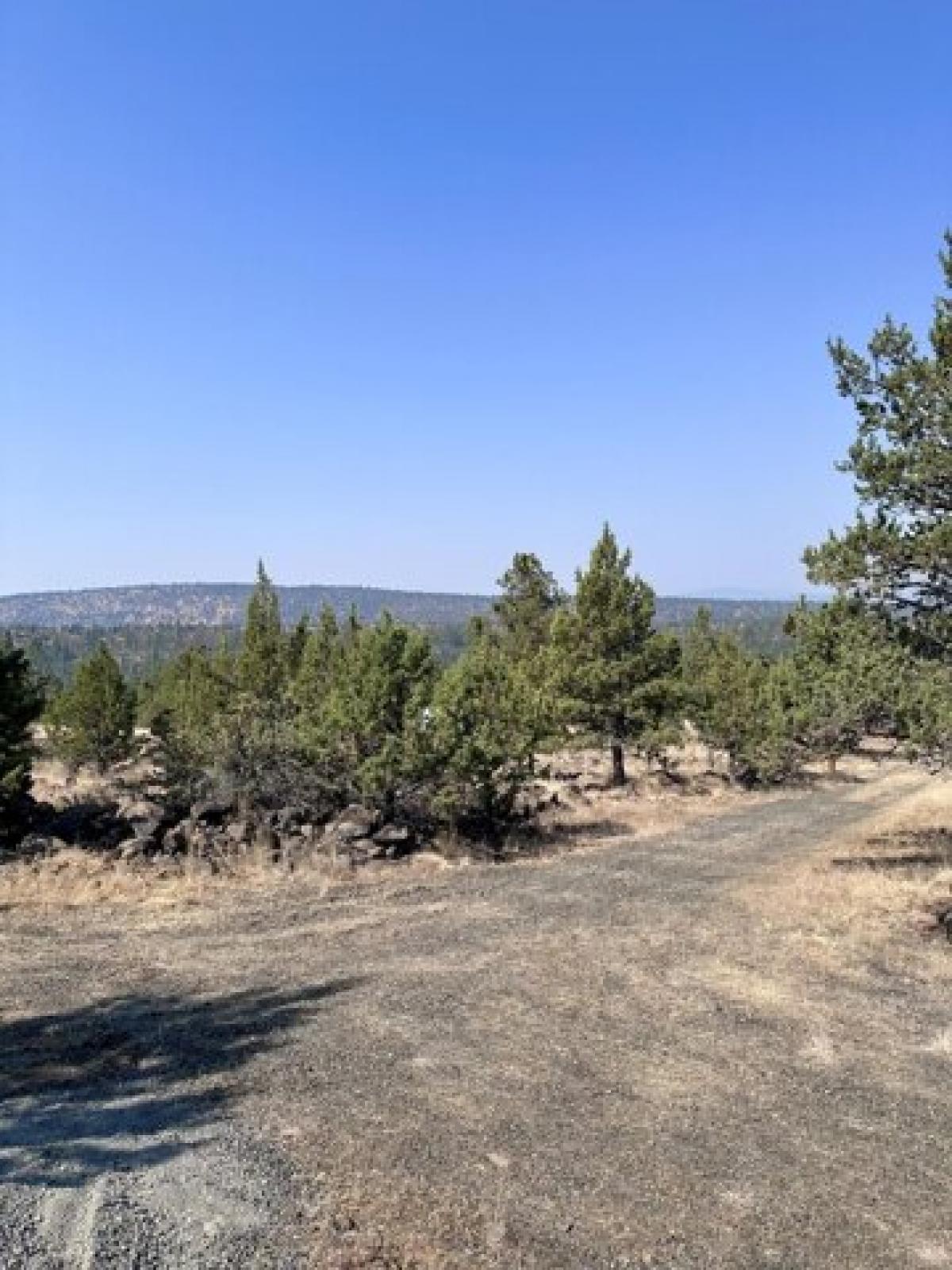 Picture of Residential Land For Sale in Bonanza, Oregon, United States