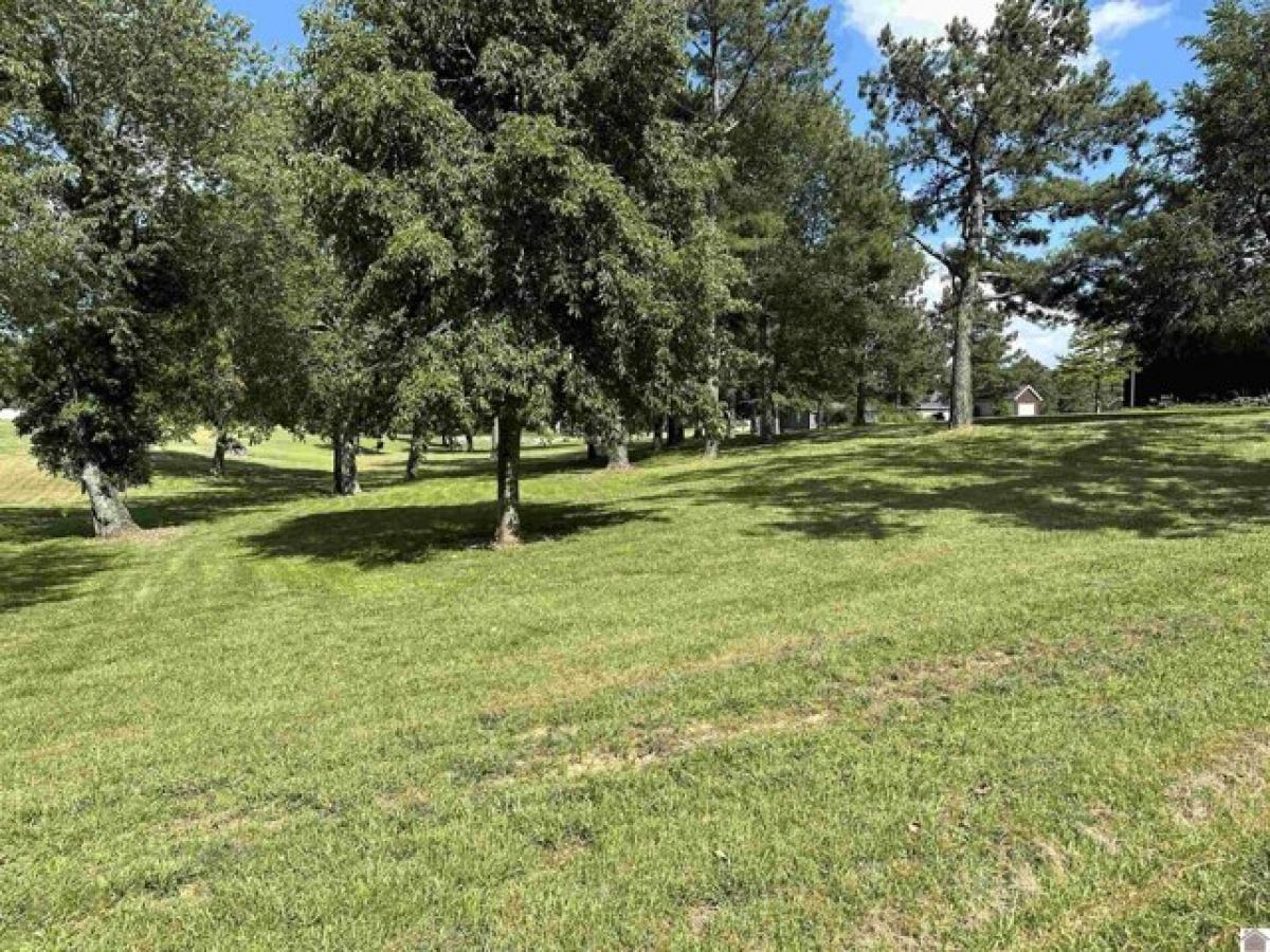 Picture of Residential Land For Sale in Murray, Kentucky, United States