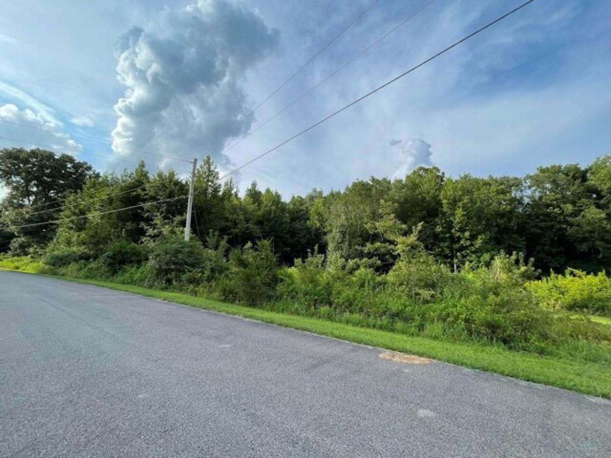 Picture of Residential Land For Sale in Paris, Tennessee, United States