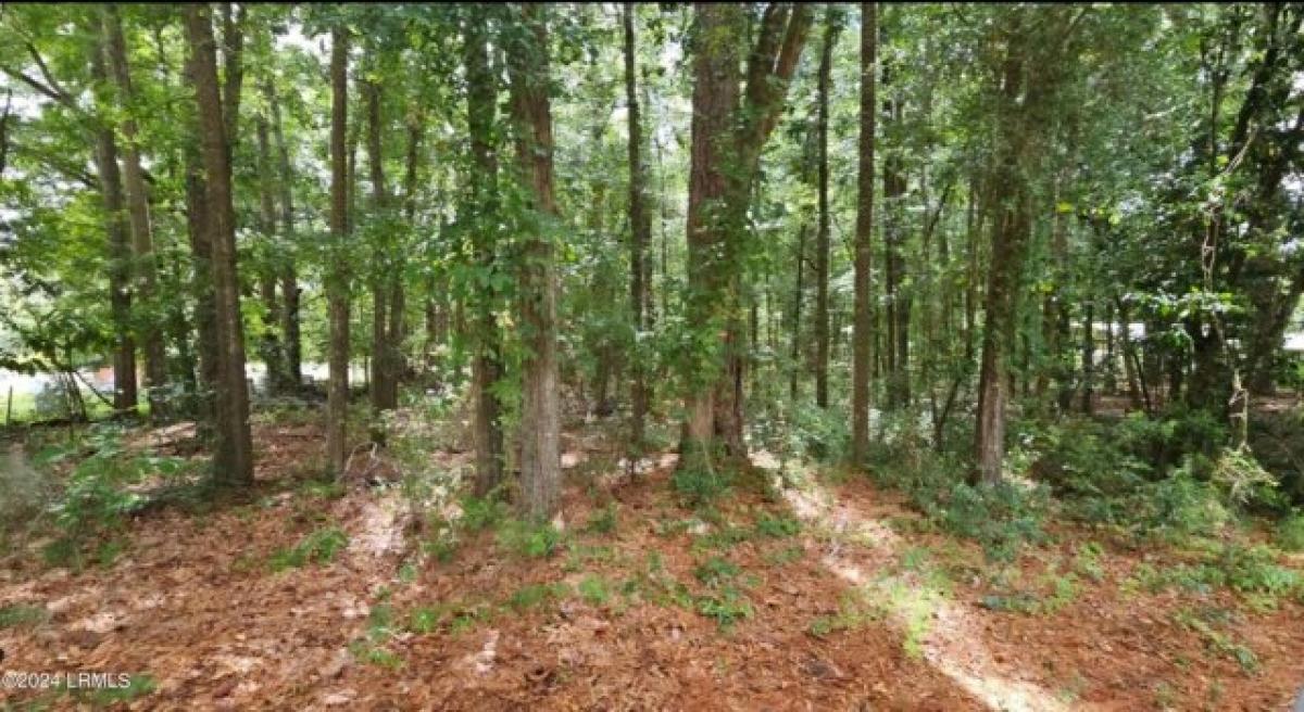 Picture of Residential Land For Sale in Ridgeland, South Carolina, United States