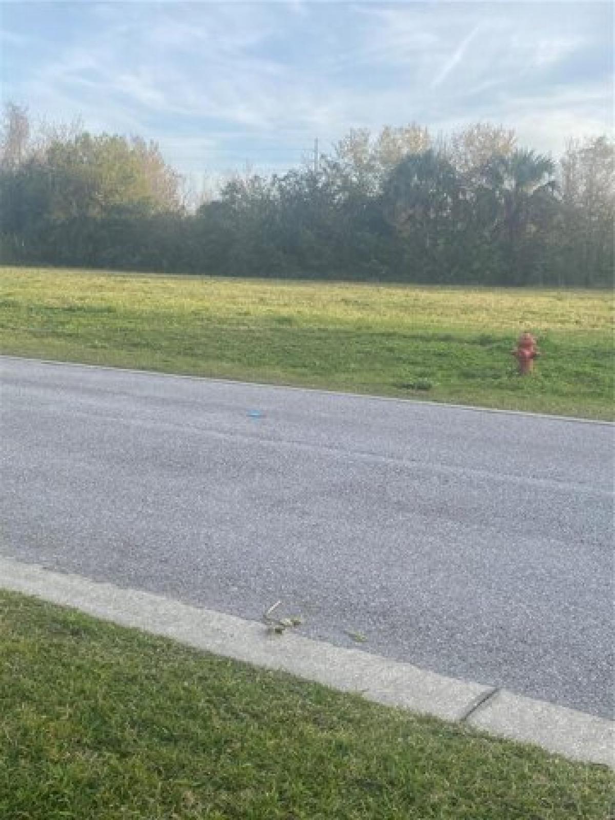 Picture of Residential Land For Sale in Tavares, Florida, United States