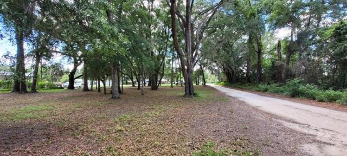 Picture of Residential Land For Sale in Chiefland, Florida, United States