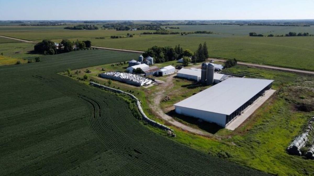 Picture of Home For Sale in Hayfield, Minnesota, United States