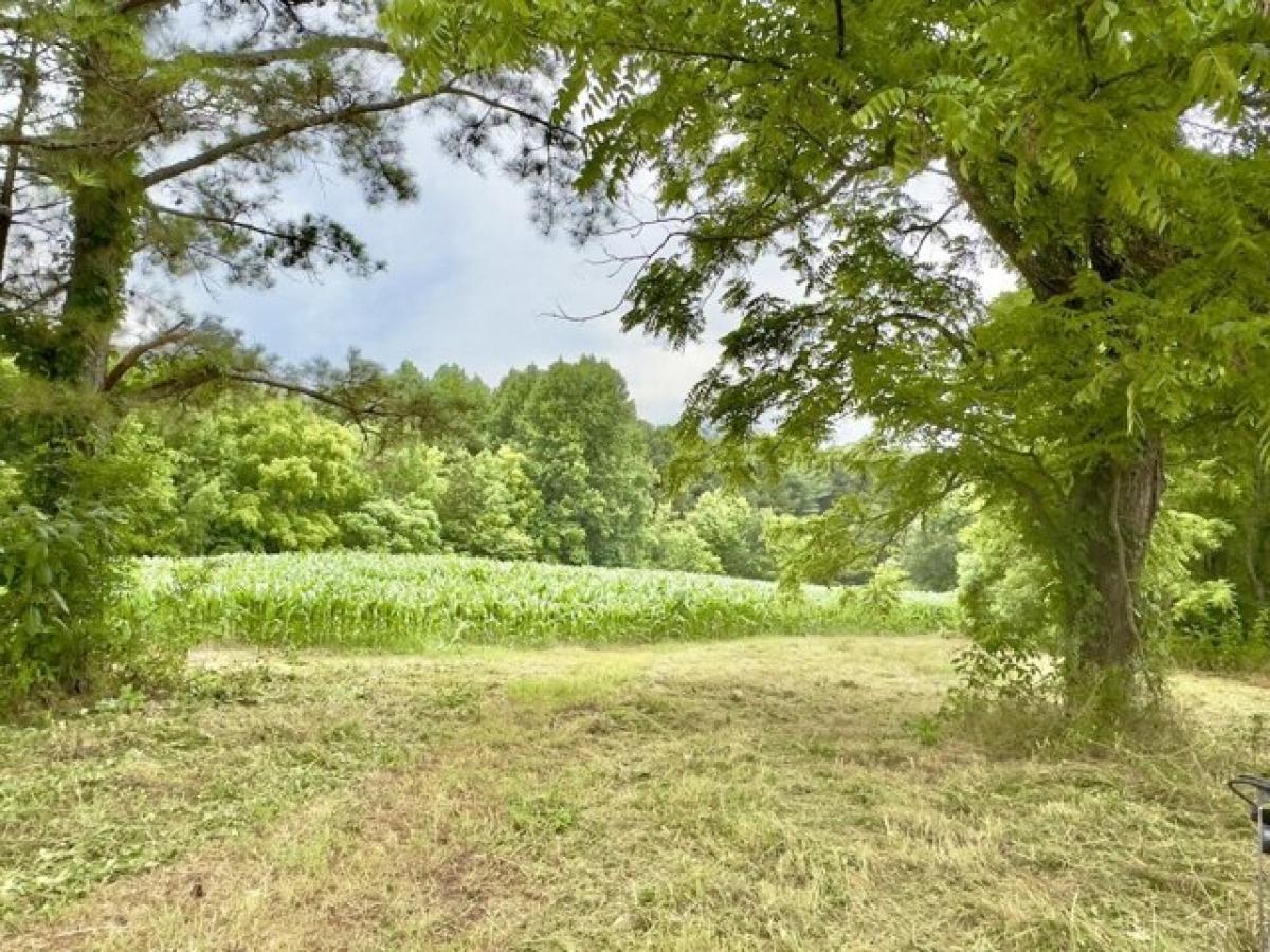 Picture of Residential Land For Sale in Mcminnville, Tennessee, United States