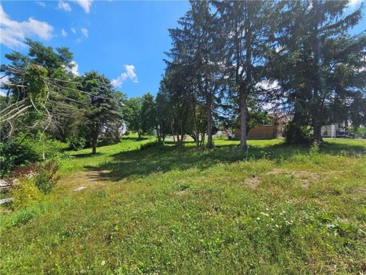 Picture of Residential Land For Sale in Elizabeth, Pennsylvania, United States