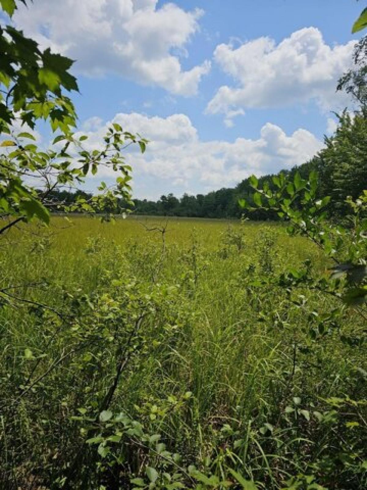 Picture of Home For Sale in Lublin, Wisconsin, United States