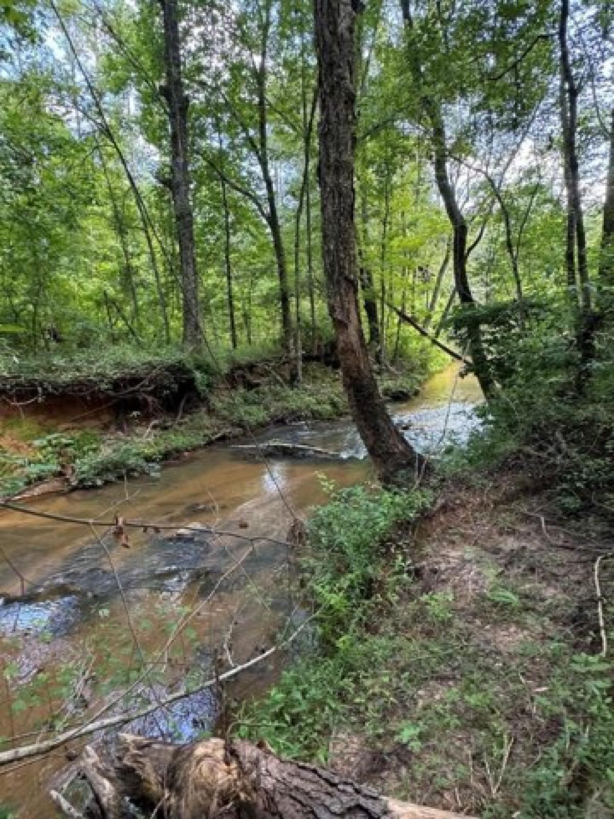 Picture of Residential Land For Sale in Pine Mountain Valley, Georgia, United States