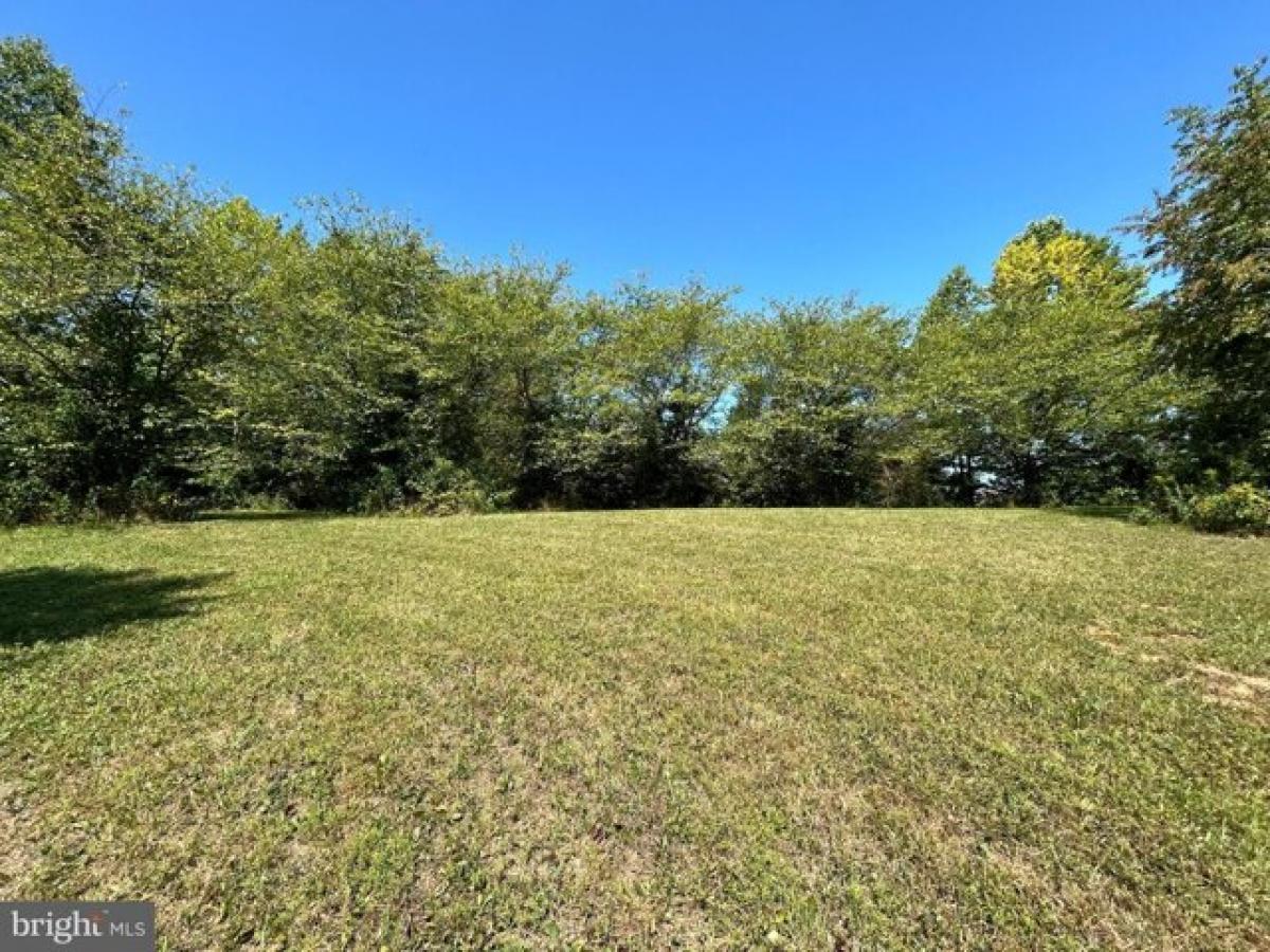 Picture of Residential Land For Sale in Mineral, Virginia, United States