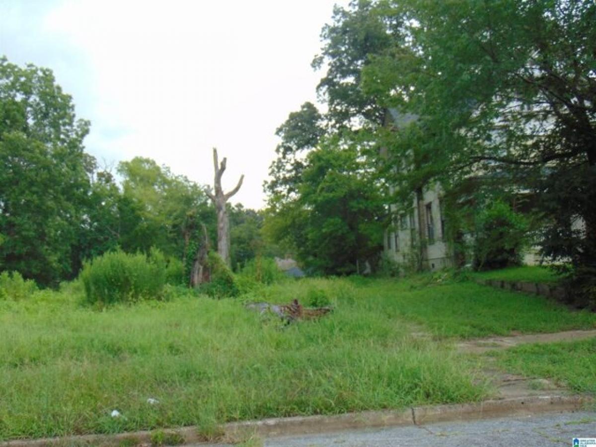 Picture of Residential Land For Sale in Birmingham, Alabama, United States