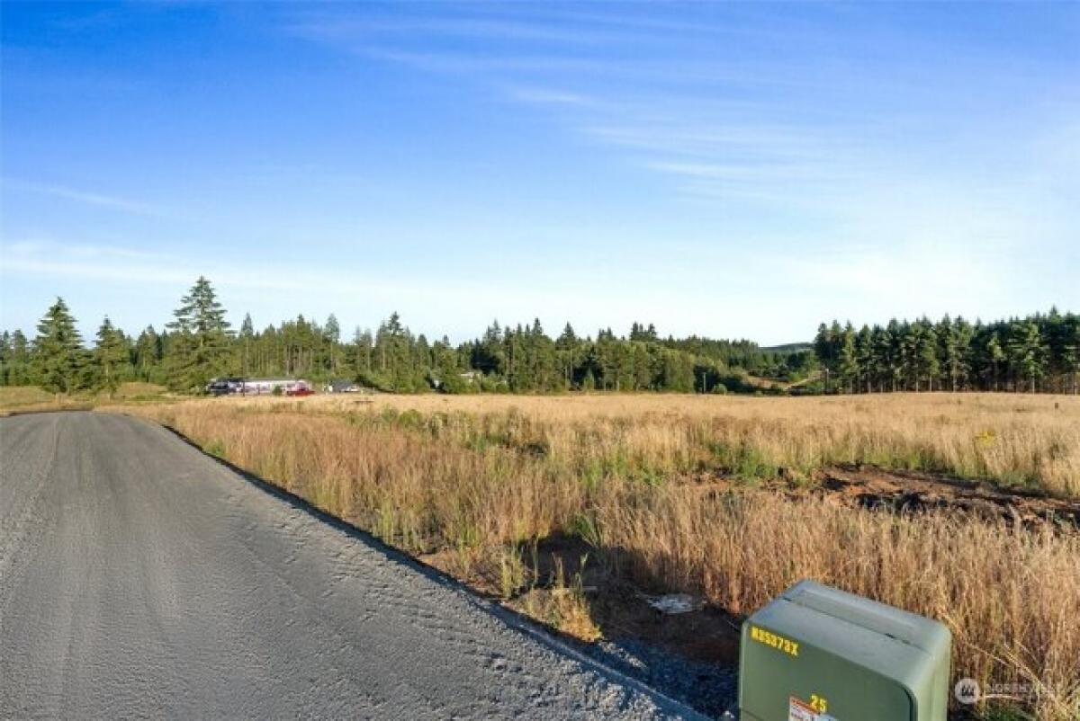 Picture of Residential Land For Sale in Winlock, Washington, United States