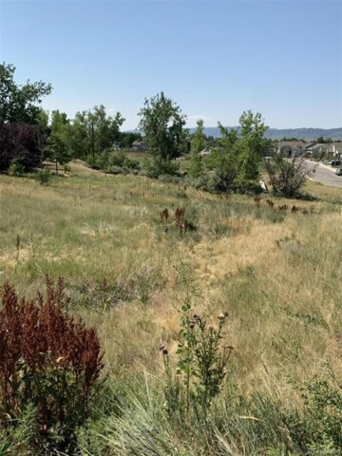 Picture of Residential Land For Sale in Littleton, Colorado, United States