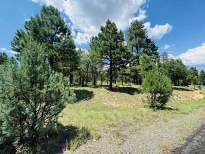 Residential Land For Sale in Happy Jack, Arizona