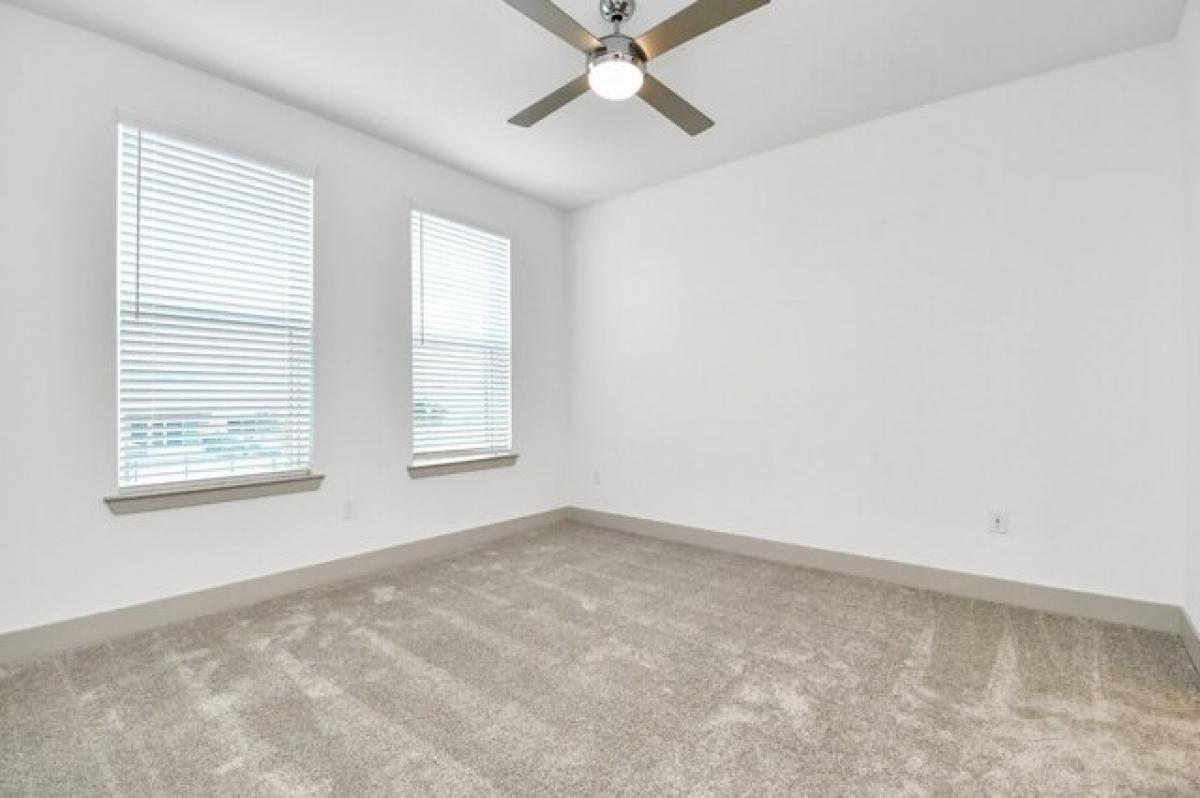 Picture of Apartment For Rent in Katy, Texas, United States