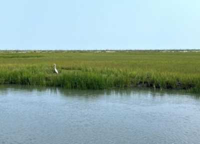 Residential Land For Sale in Edisto Island, South Carolina