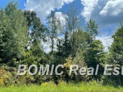 Residential Land For Sale in Vassar, Michigan