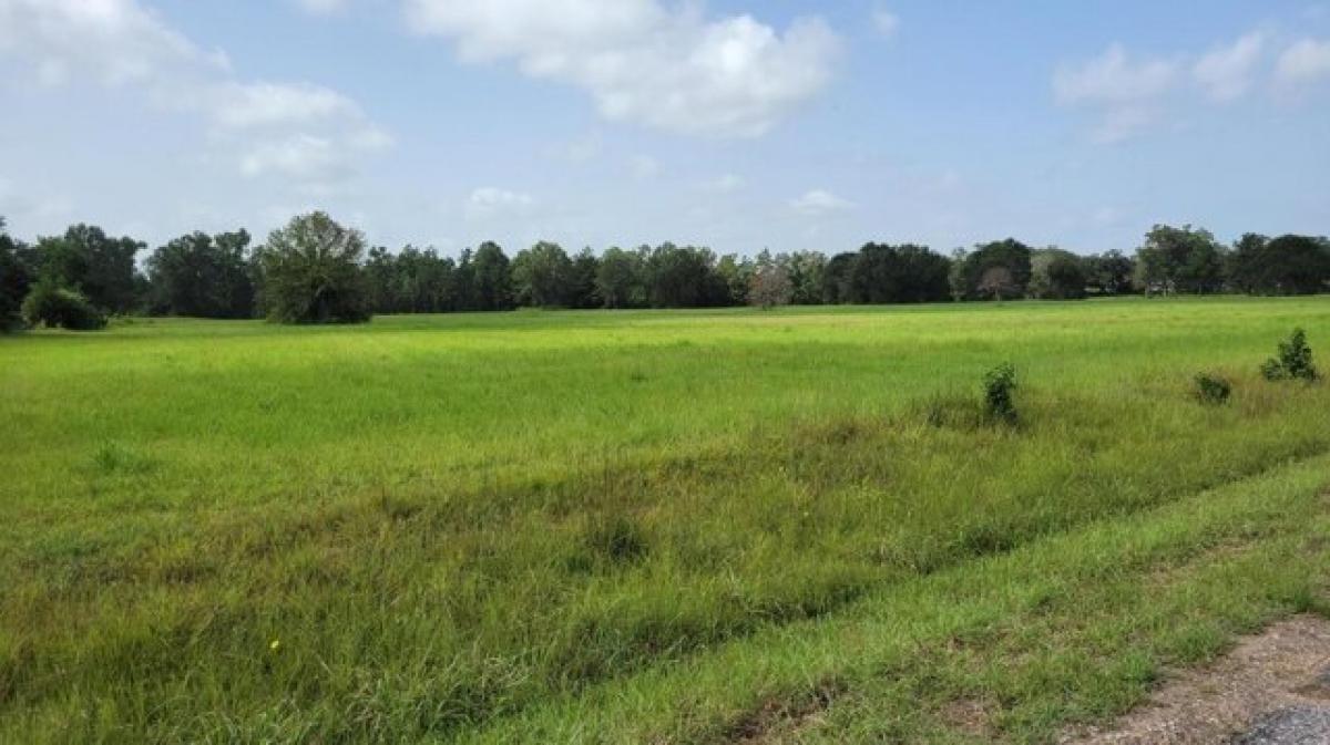 Picture of Residential Land For Sale in Deridder, Louisiana, United States