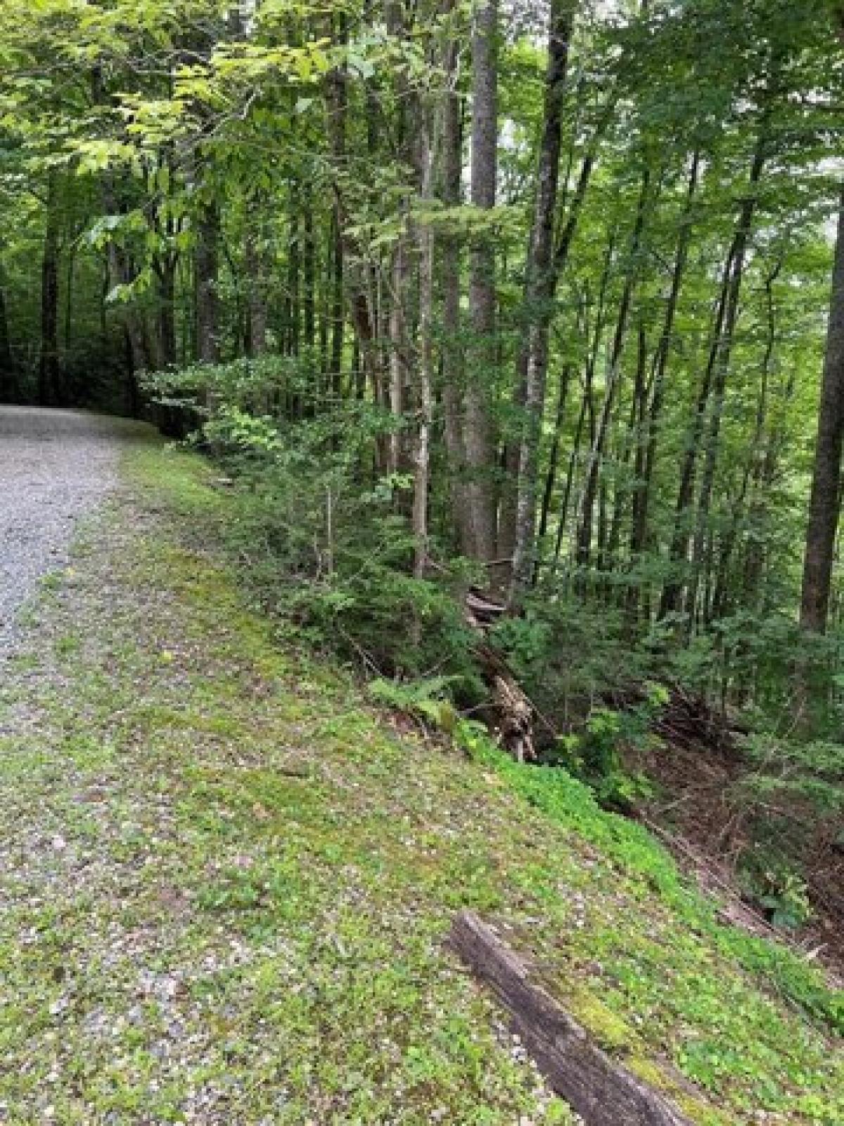 Picture of Residential Land For Sale in Topton, North Carolina, United States