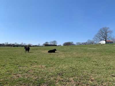 Residential Land For Sale in Thompsons Station, Tennessee