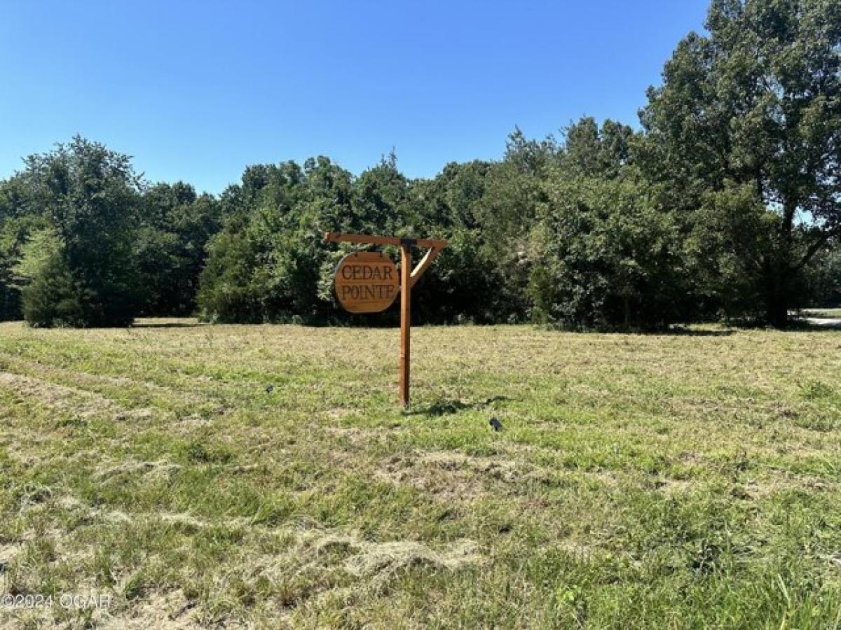 Picture of Residential Land For Sale in Neosho, Missouri, United States