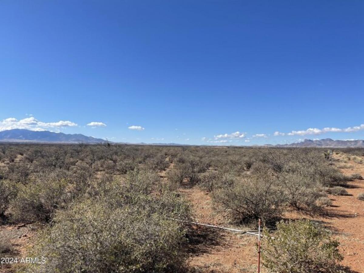 Picture of Residential Land For Sale in Huachuca City, Arizona, United States