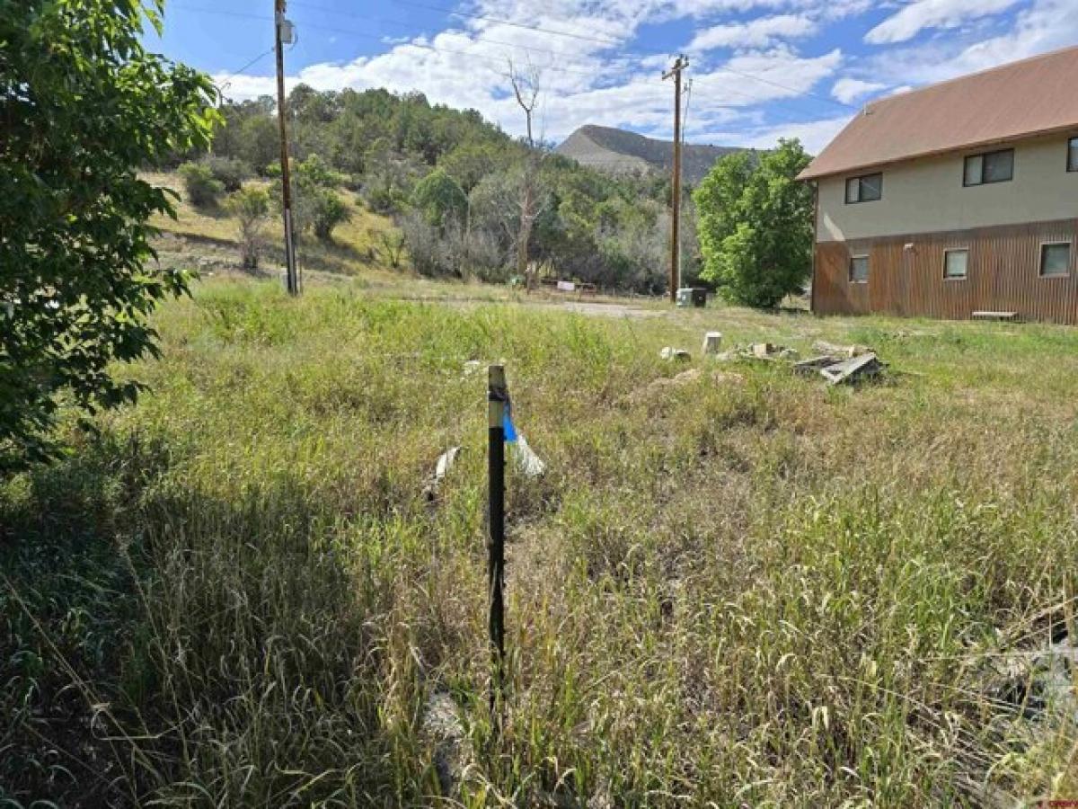 Picture of Residential Land For Sale in Ridgway, Colorado, United States