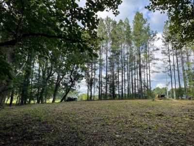 Residential Land For Sale in Mcminnville, Tennessee