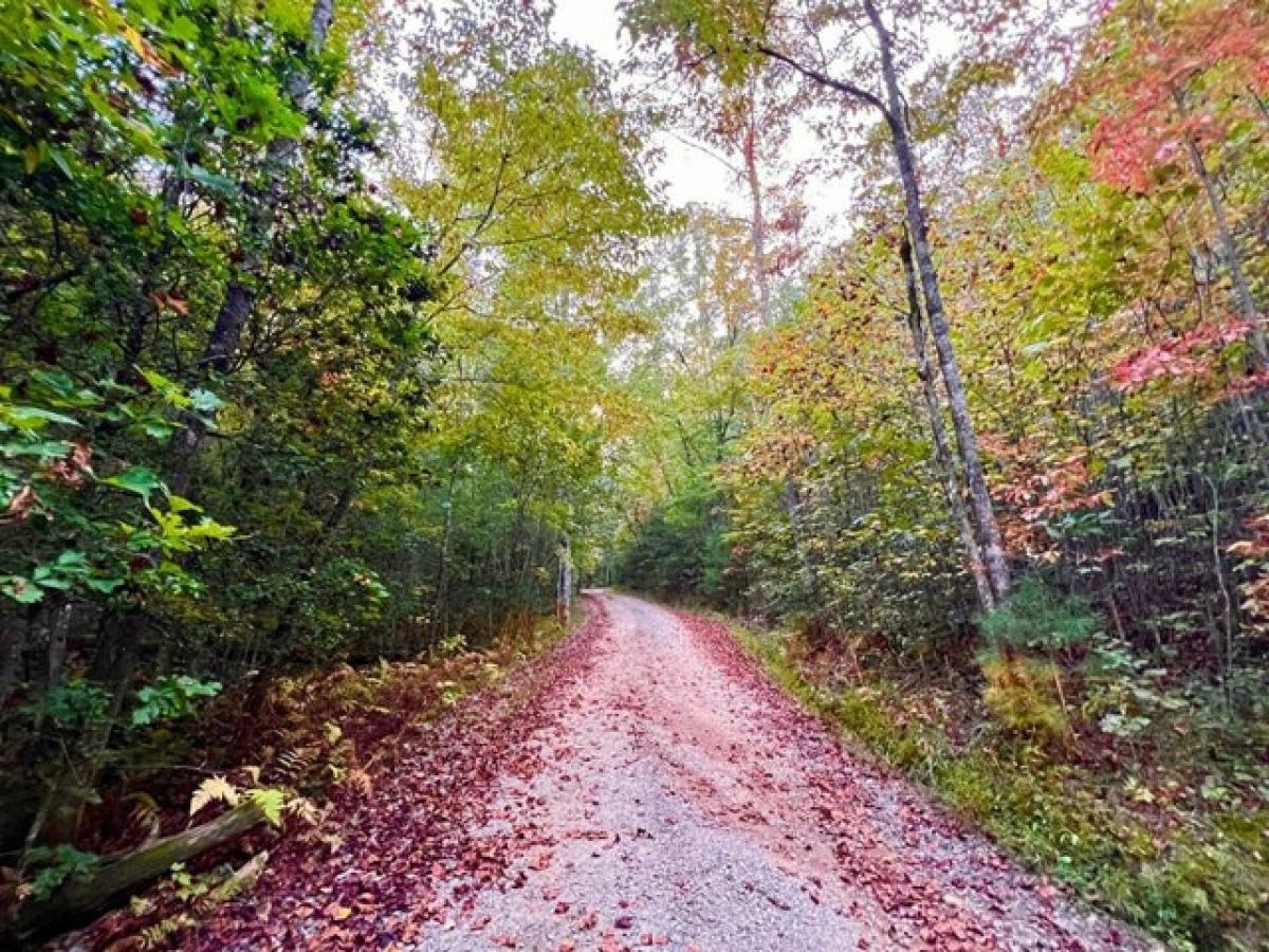 Picture of Residential Land For Sale in Murphy, North Carolina, United States