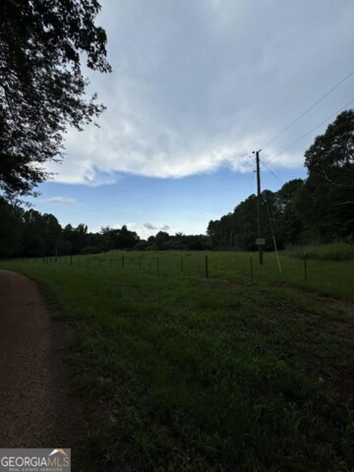 Picture of Residential Land For Sale in Carnesville, Georgia, United States