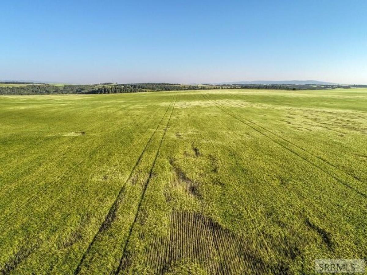 Picture of Residential Land For Sale in Ashton, Idaho, United States