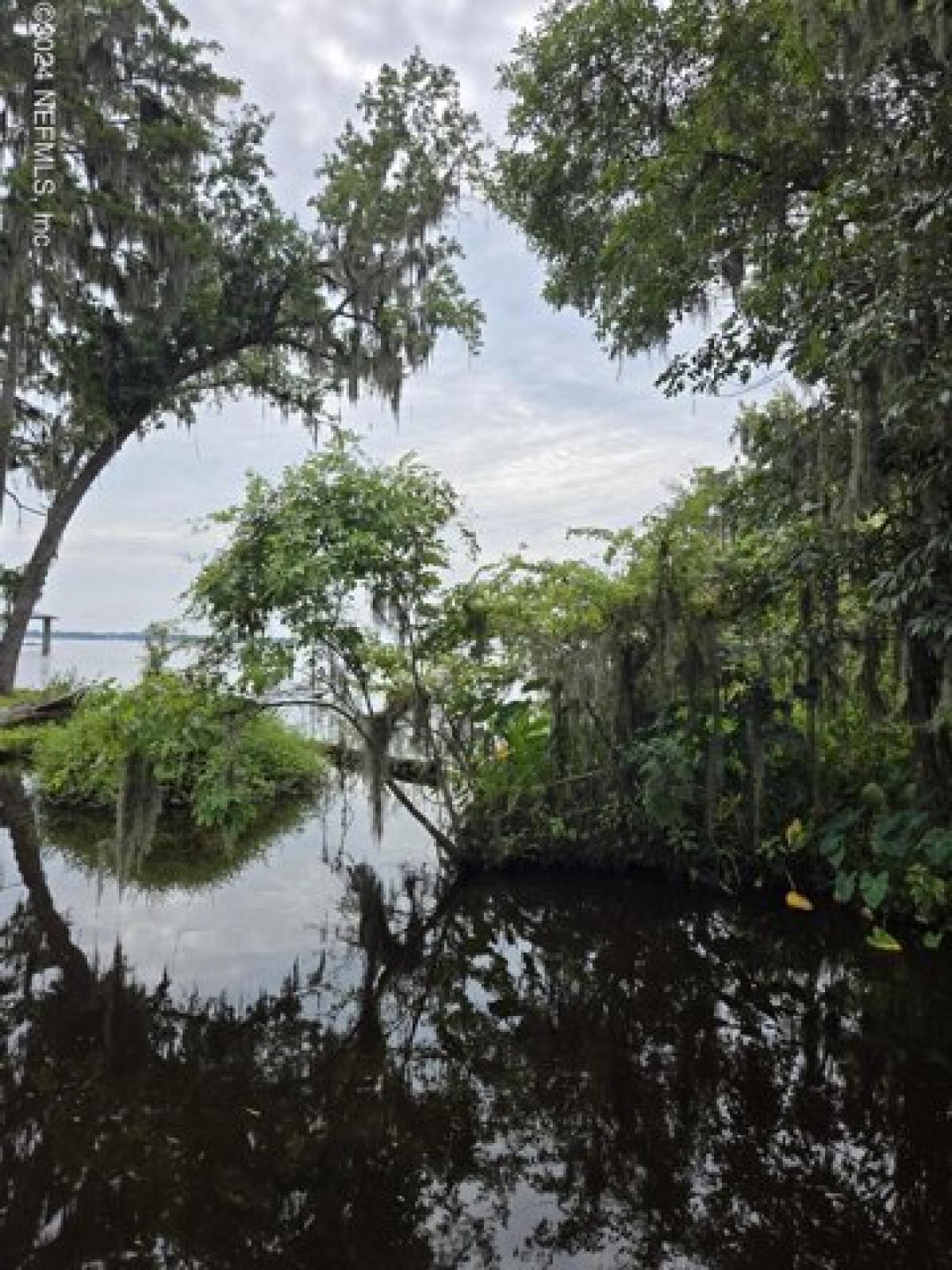 Picture of Residential Land For Sale in Palatka, Florida, United States