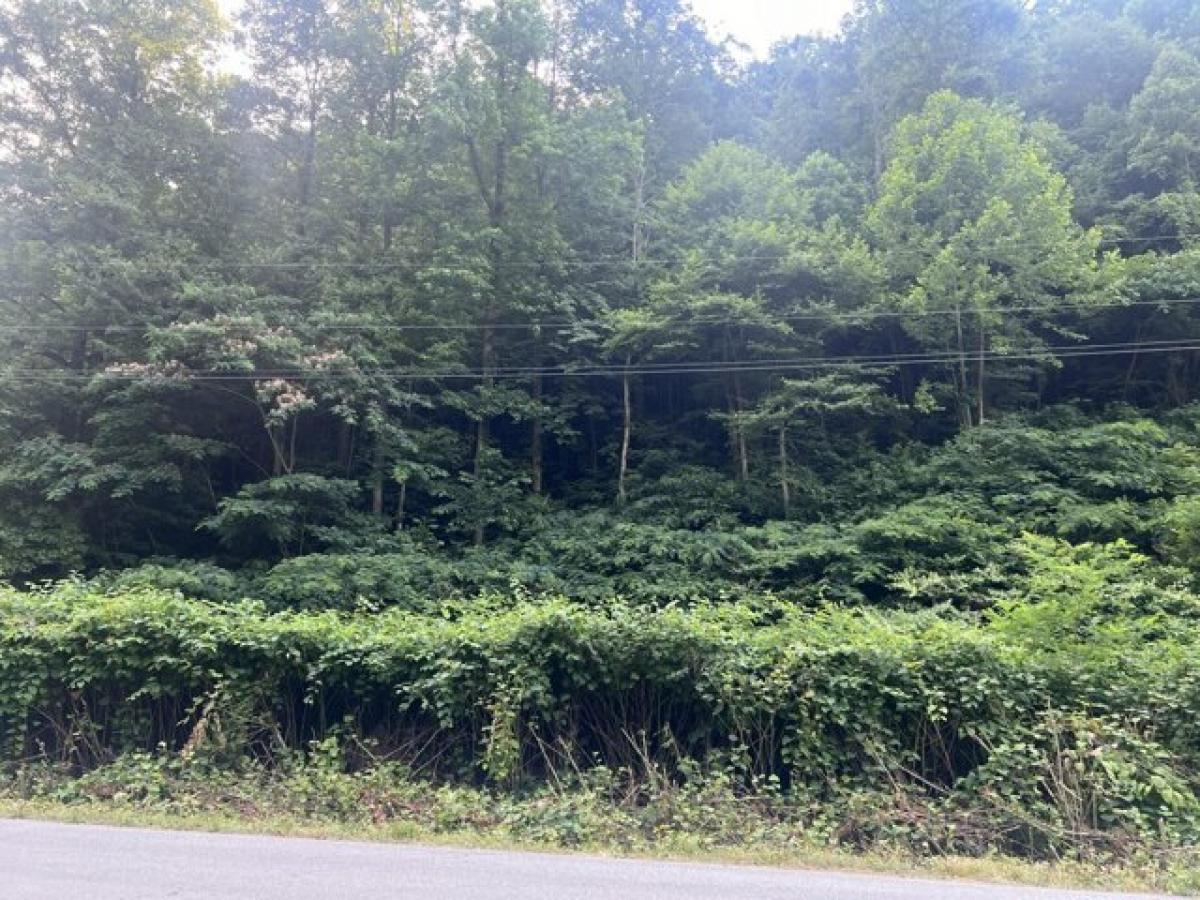 Picture of Residential Land For Rent in Huddy, Kentucky, United States