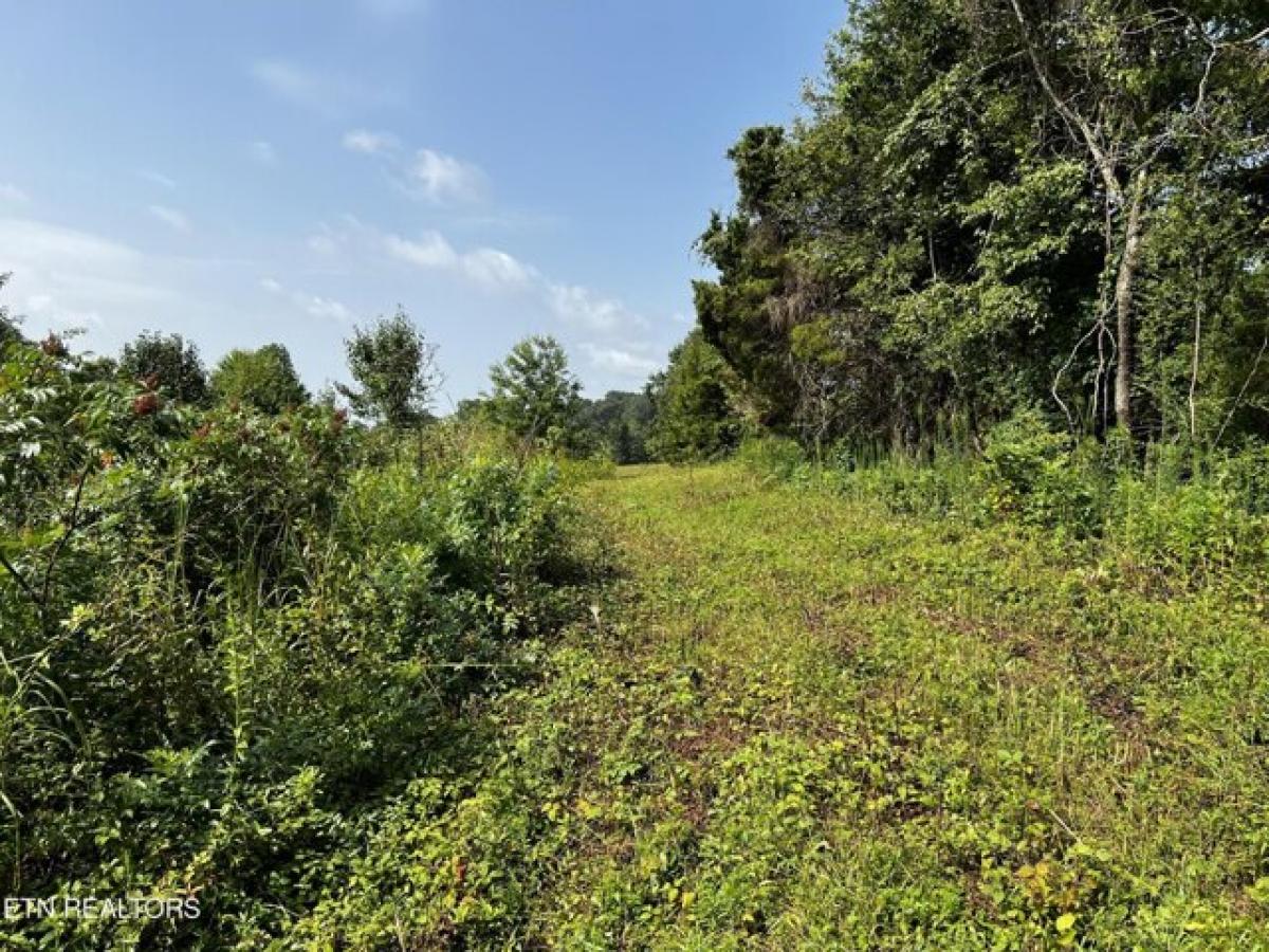 Picture of Residential Land For Sale in Lenoir City, Tennessee, United States