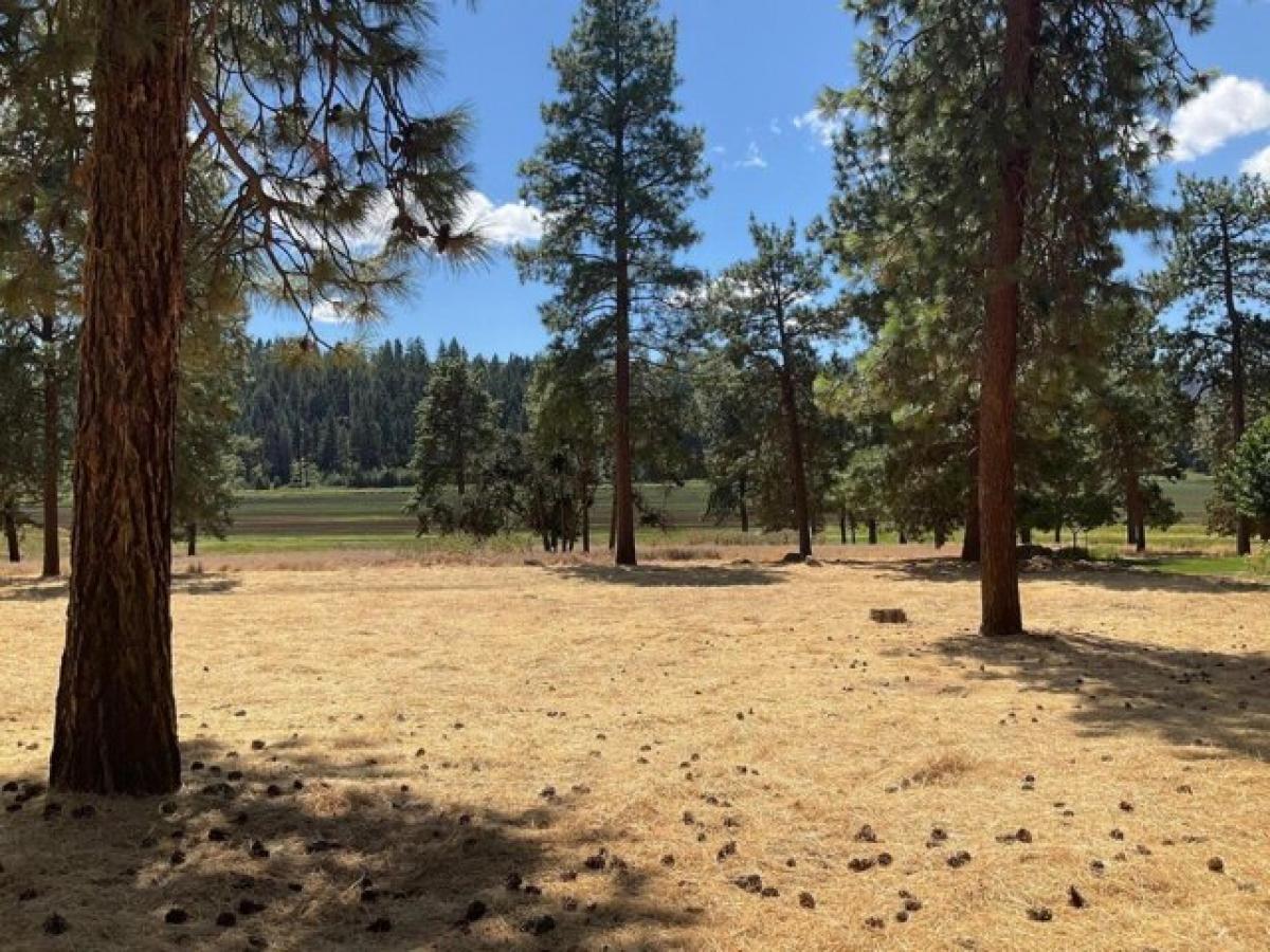 Picture of Residential Land For Sale in Klamath Falls, Oregon, United States