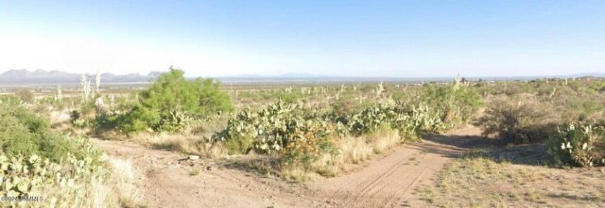 Picture of Residential Land For Sale in Organ, New Mexico, United States