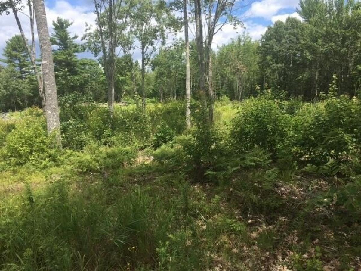 Picture of Residential Land For Sale in Ellsworth, Maine, United States