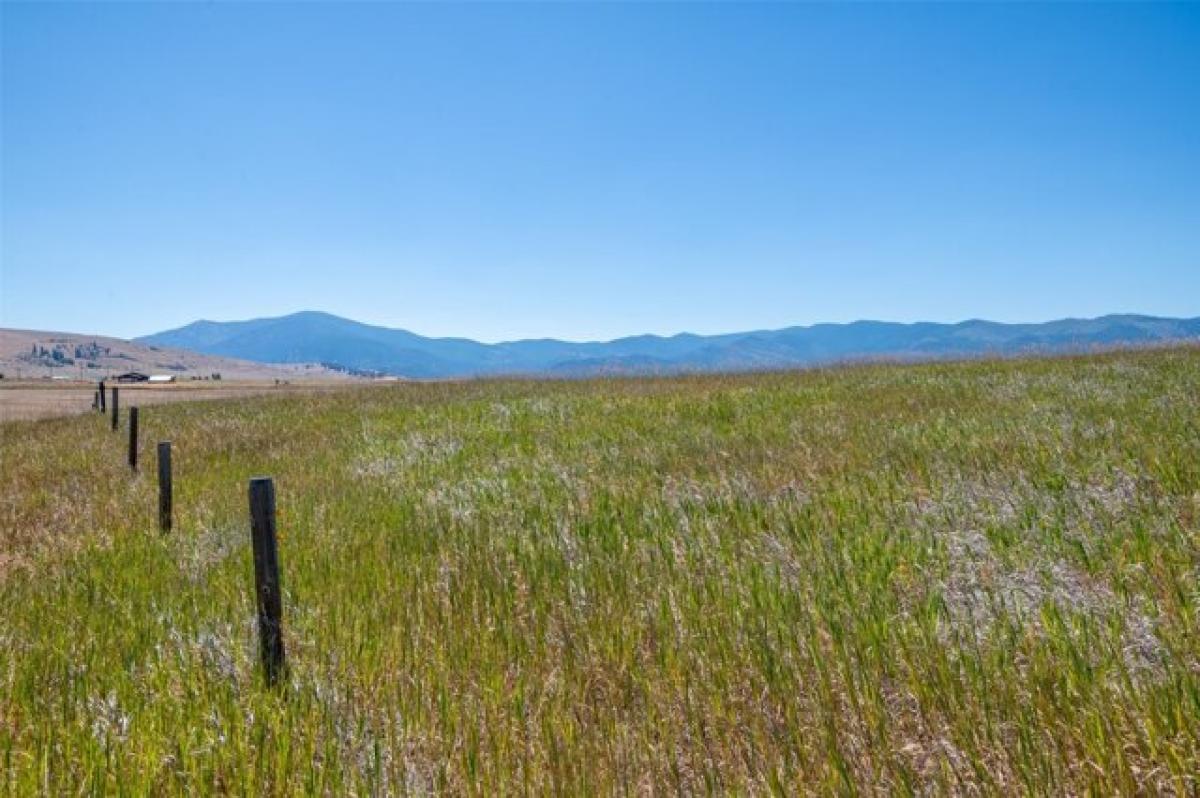 Picture of Residential Land For Sale in Plains, Montana, United States