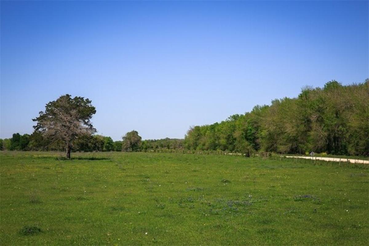 Picture of Residential Land For Sale in Chappell Hill, Texas, United States