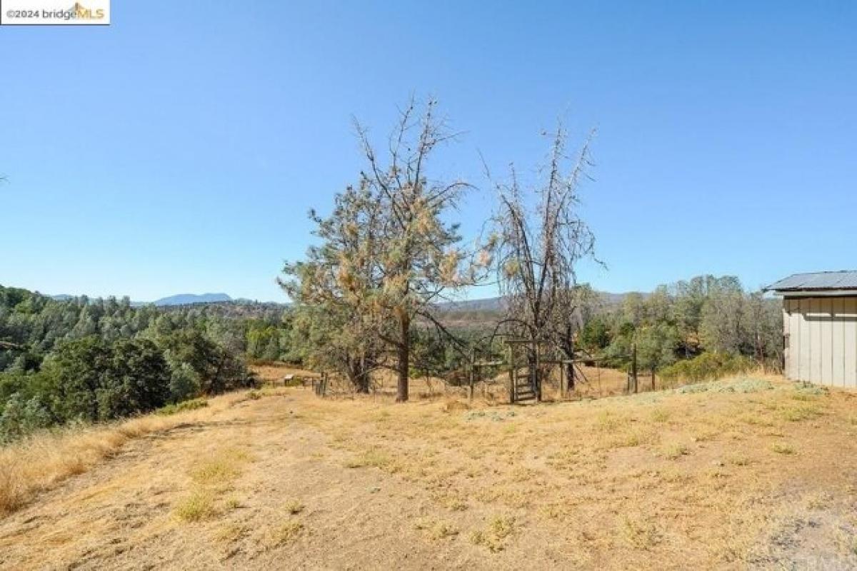 Picture of Home For Sale in Lower Lake, California, United States