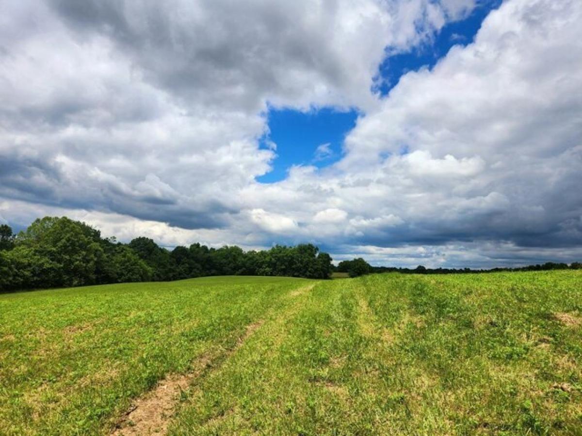 Picture of Residential Land For Sale in Ewing, Kentucky, United States