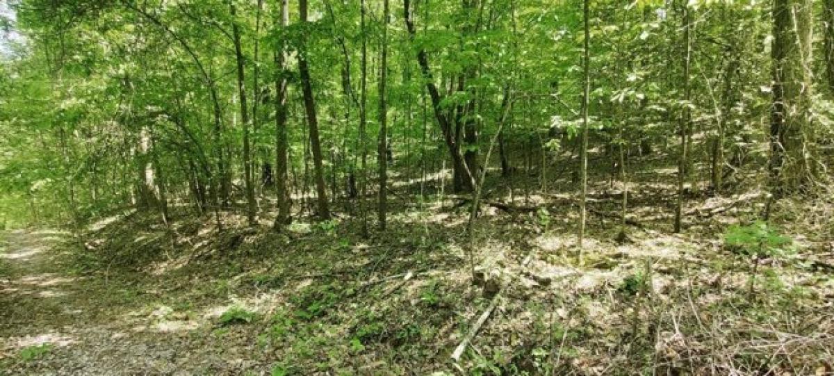 Picture of Residential Land For Sale in South Pittsburg, Tennessee, United States