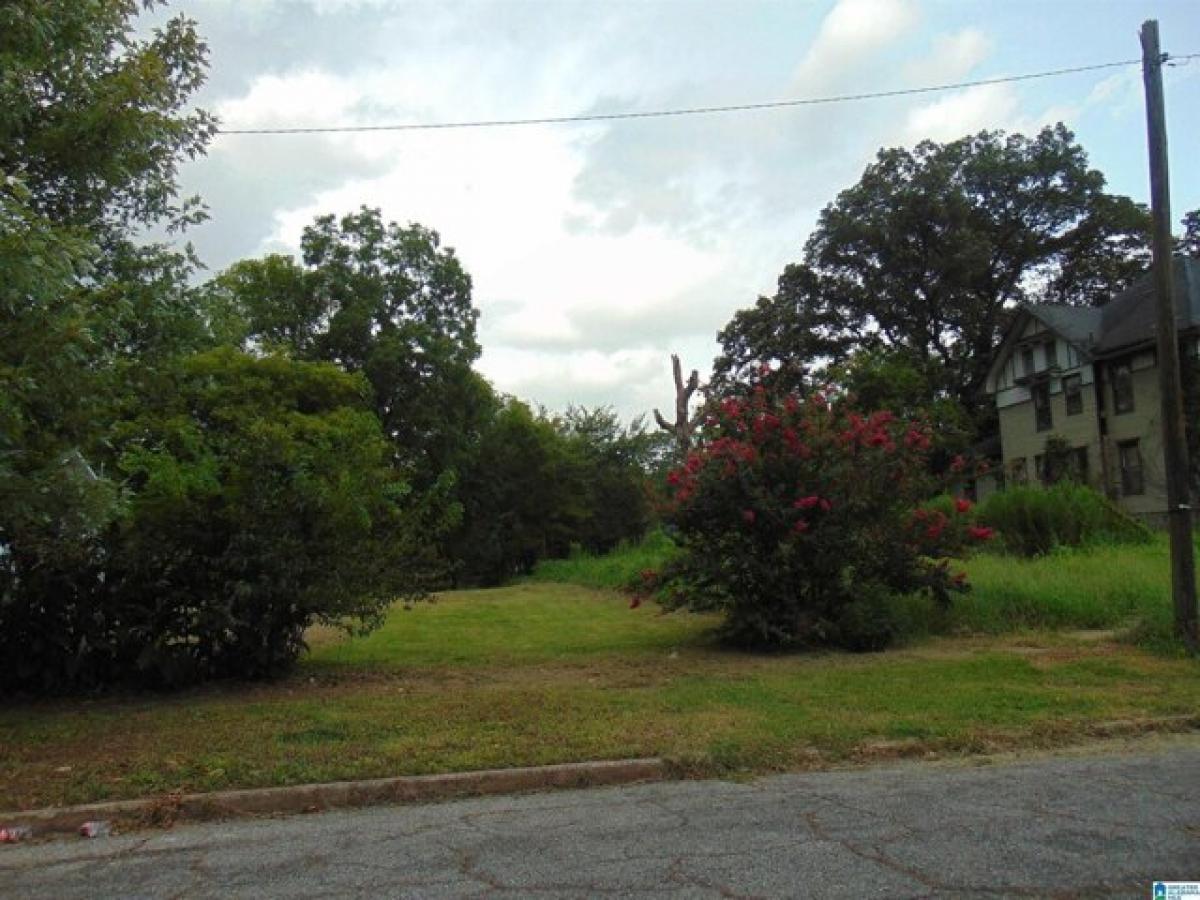 Picture of Residential Land For Sale in Birmingham, Alabama, United States