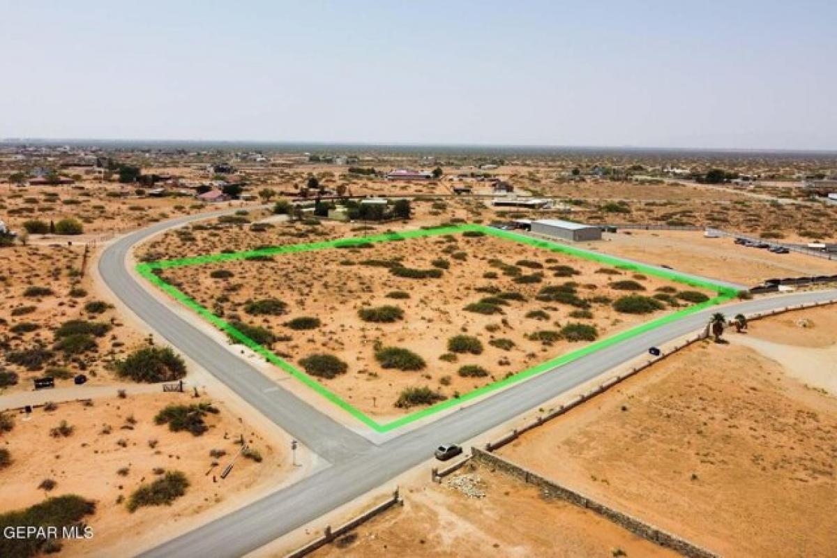 Picture of Residential Land For Sale in Clint, Texas, United States