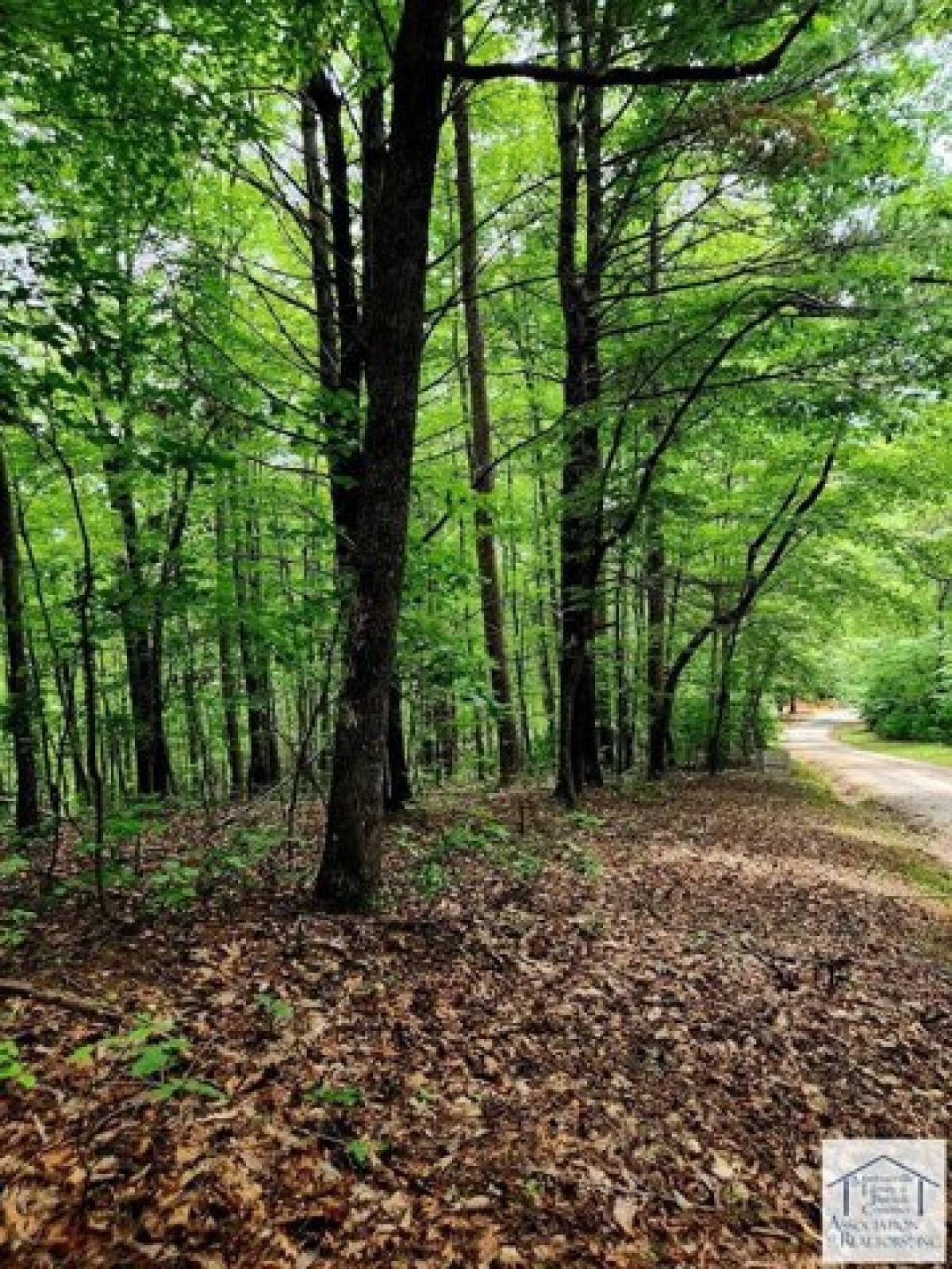 Picture of Residential Land For Sale in Woolwine, Virginia, United States