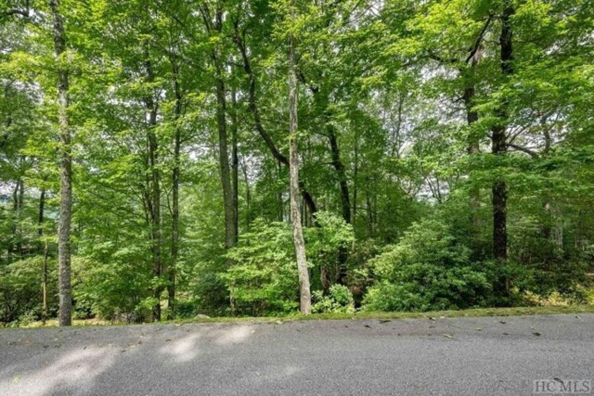 Picture of Residential Land For Sale in Sapphire, North Carolina, United States