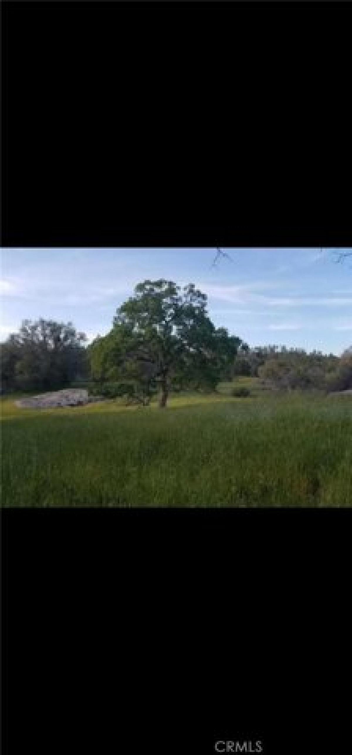 Picture of Residential Land For Sale in Friant, California, United States